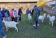 Warsztaty robienia serów w Pustkach 12.10.2024